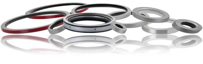 Hamza Oil Seals